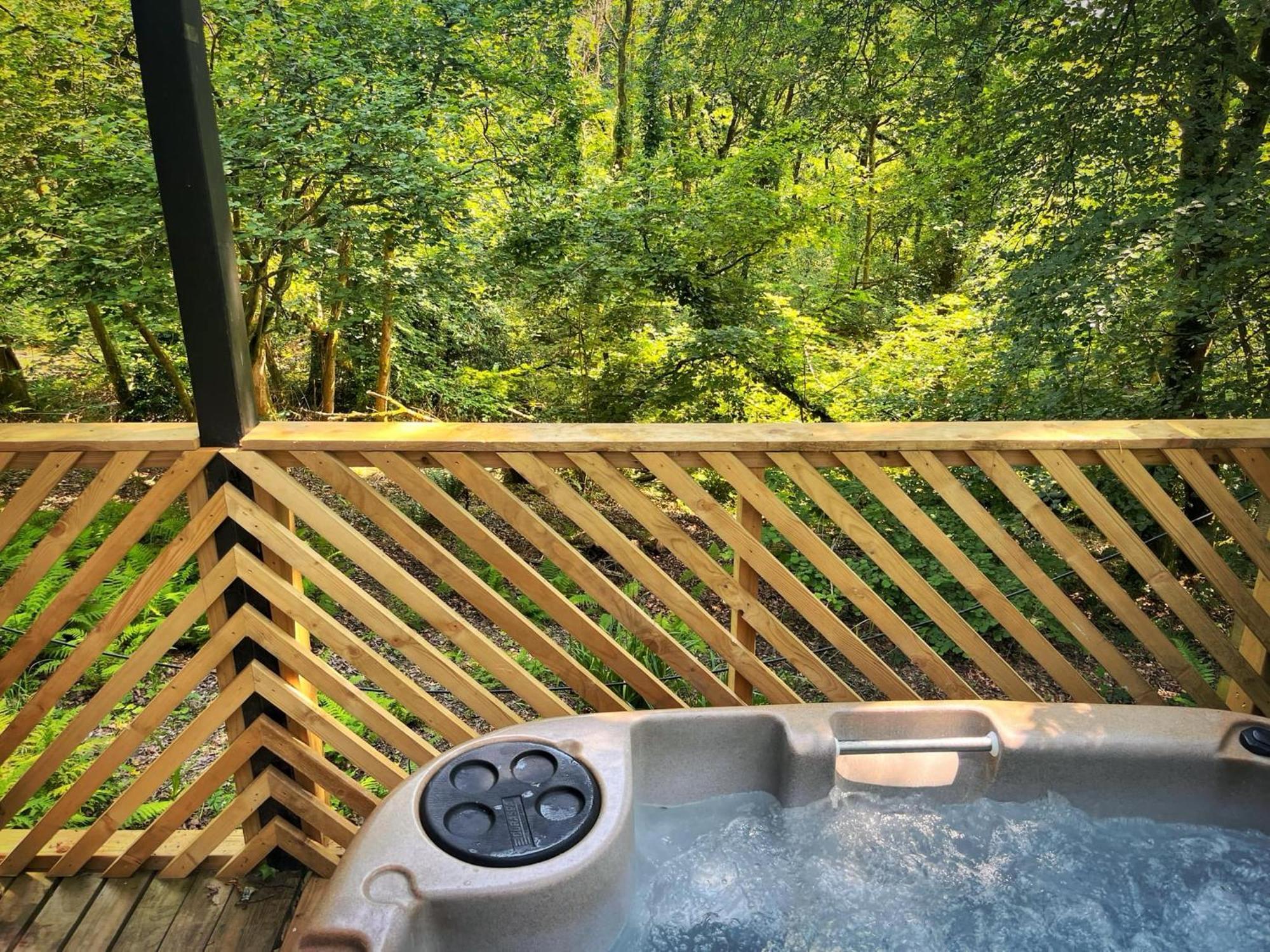 Goldcrest 3-Hot Tub-Woodland Lodges-Carmarthenshire-Tenby Bagian luar foto
